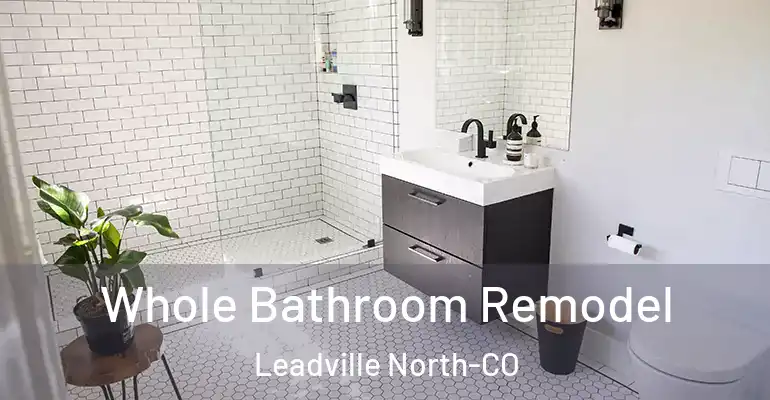inner Bathroom imggen Whole Bathroom Remodel Leadville North-CO