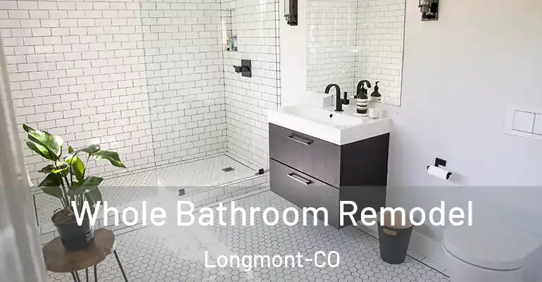 inner Bathroom imggen Whole Bathroom Remodel Longmont-CO