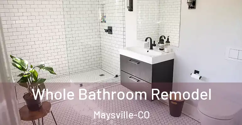 inner Bathroom imggen Whole Bathroom Remodel Maysville-CO