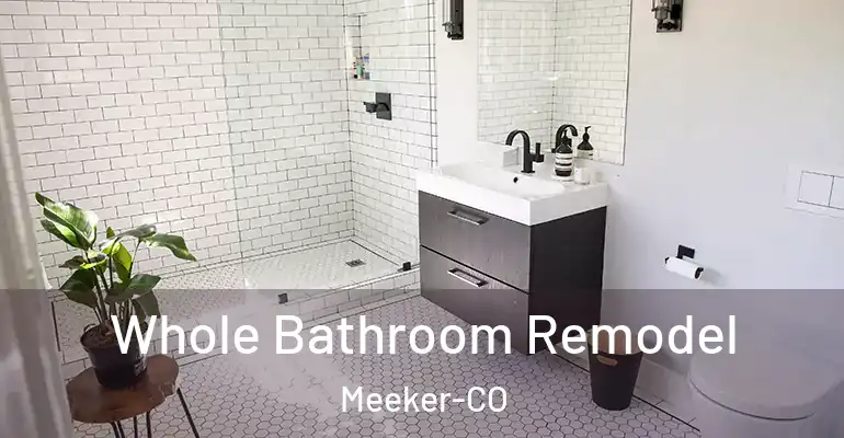 inner Bathroom imggen Whole Bathroom Remodel Meeker-CO