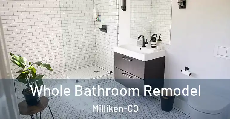 inner Bathroom imggen Whole Bathroom Remodel Milliken-CO