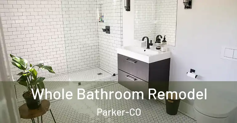 inner Bathroom imggen Whole Bathroom Remodel Parker-CO