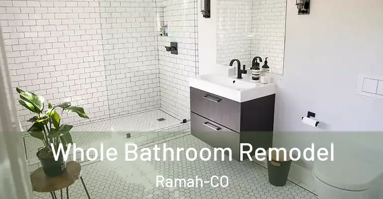 inner Bathroom imggen Whole Bathroom Remodel Ramah-CO