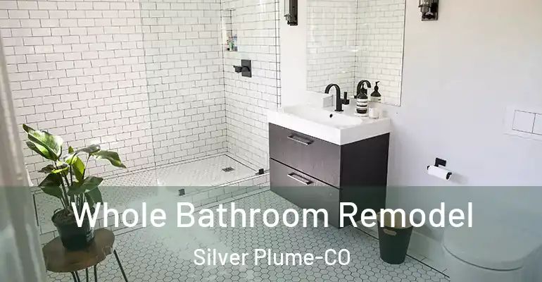 inner Bathroom imggen Whole Bathroom Remodel Silver Plume-CO