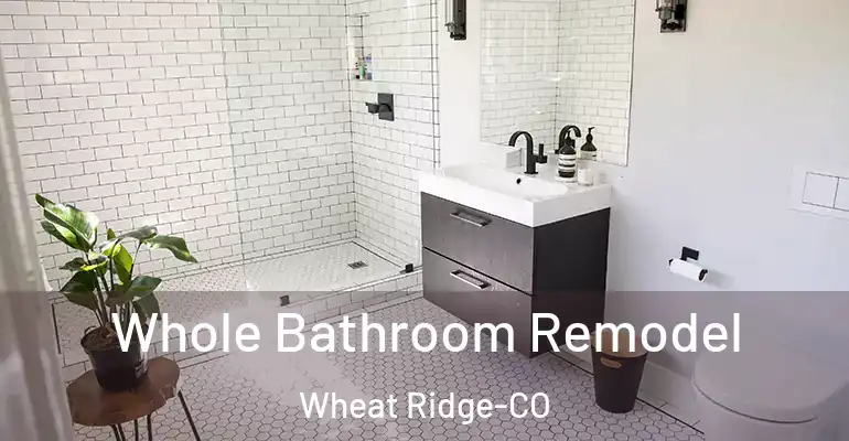 inner Bathroom imggen Whole Bathroom Remodel Wheat Ridge-CO