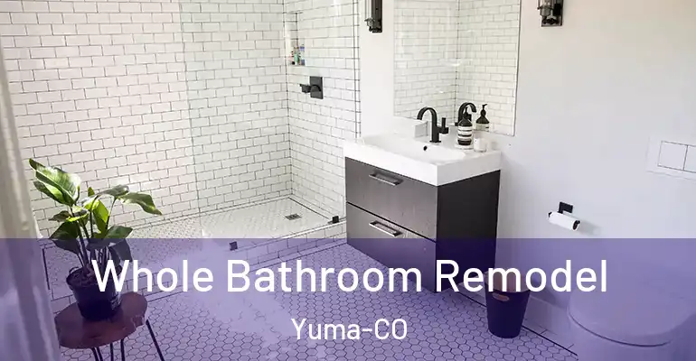 inner Bathroom imggen Whole Bathroom Remodel Yuma-CO